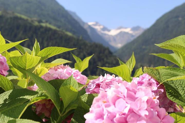Appartamento per 2 persone, con giardino e panorama in Val Venosta