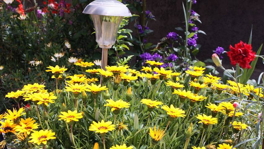 Ferienwohnung für 4 Personen, mit Terrasse auf Rab