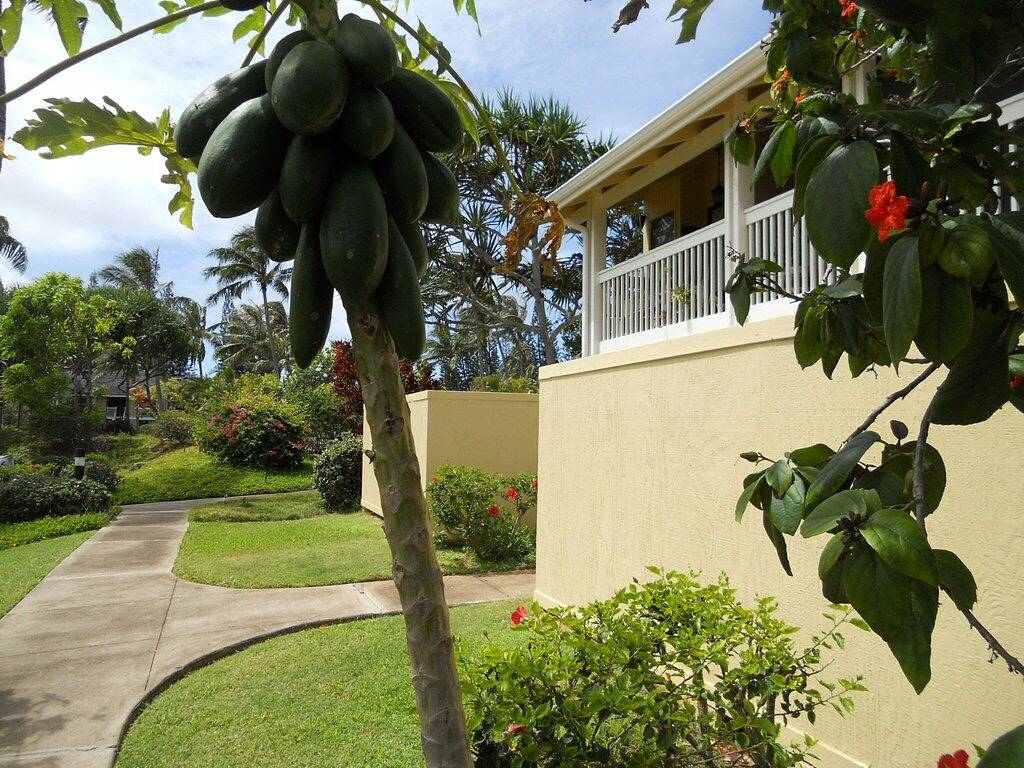 Ganze Wohnung, Turtle Bay Luxus 2 Schlafzimmer. Obergeschoss mit Upgrades. 90 / Tvu-0512 in Kawela Bay, Turtle Bay