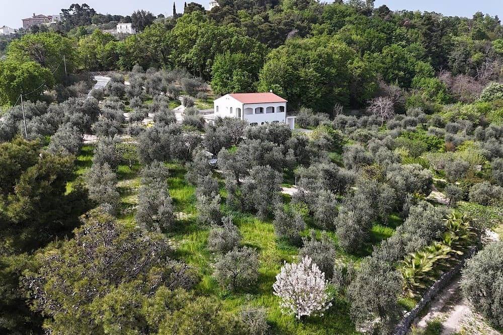 Mathematic Green - A look at nature in Vico del Gargano, Gargano