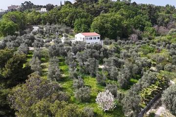 B&b per 12 Persone in Vico del Gargano, Rodi Garganico, Foto 4