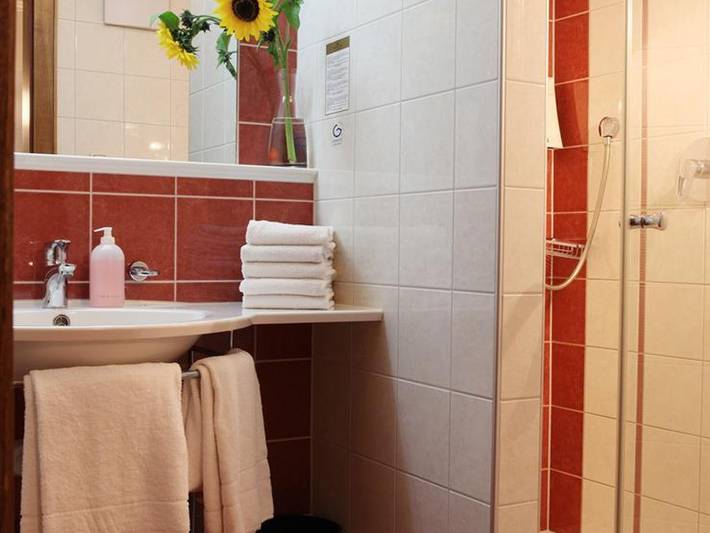 Hotel für 2 Personen, mit Terrasse und Garten in Höfen - 4