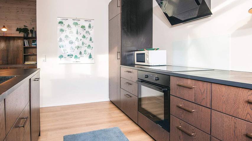 Ferienhaus für 6 Personen in Silkeborg - 2