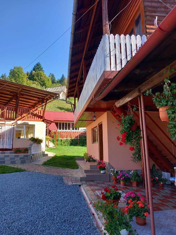 Double Room in Albac