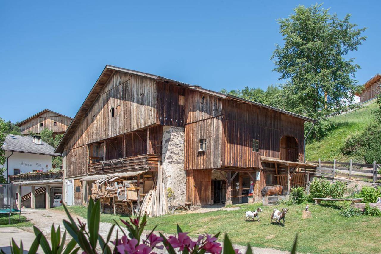 Ferienbauernhof Wieserhof in Aica di Sopra, Fiè allo Sciliar