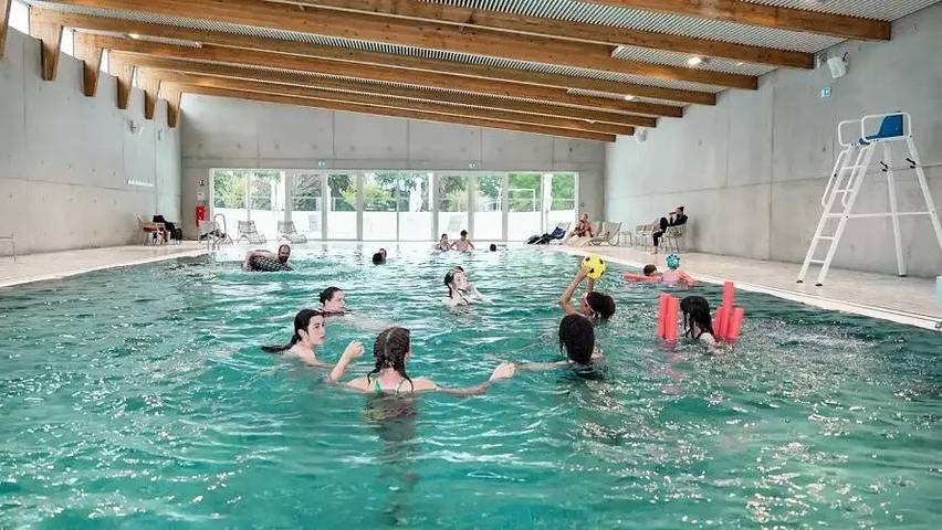 Mobil home pour 6 personnes, avec sauna, animaux acceptés dans Plage des Sableaux - 4