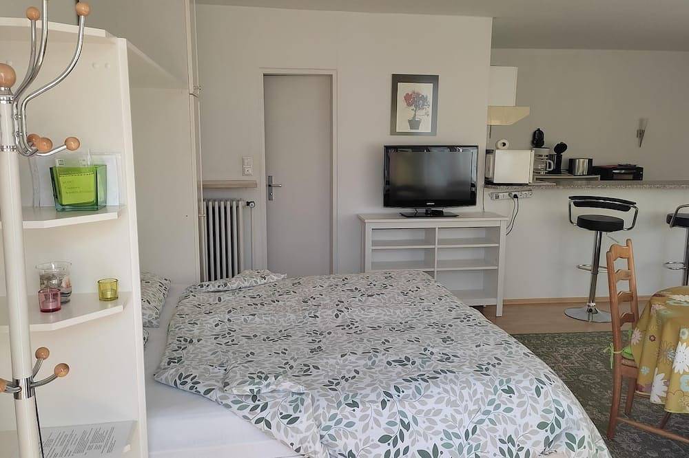 Ganze Wohnung, Ein-Zimmer-Nichtraucher-Appartement mit 45qm in Zirndorf, Franken