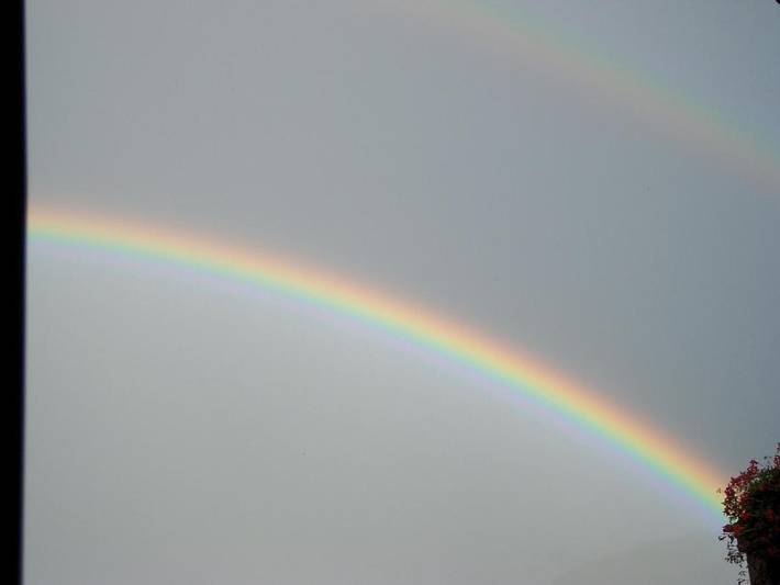 Hôtel pour 3 personnes, avec jardin ainsi que jacuzzi et sauna à Malè - 4