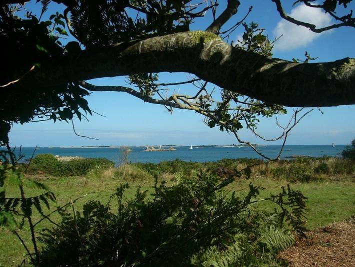 Gîte pour 4 personnes, avec Terrasse et Jardin dans Plage de l'île-à-Poule