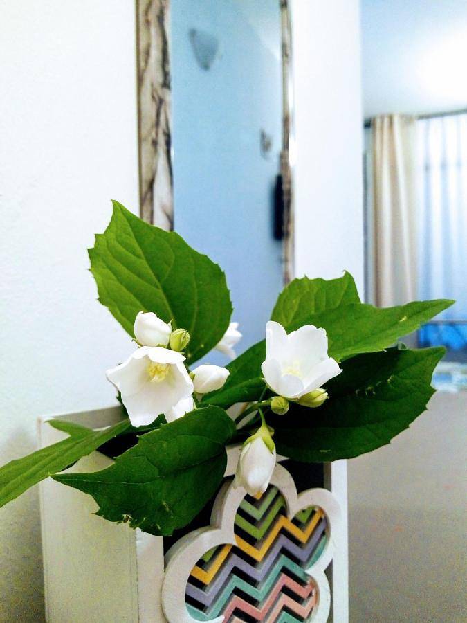 BnB für 2 Personen, mit Garten und Ausblick sowie Terrasse in Bologna - 3