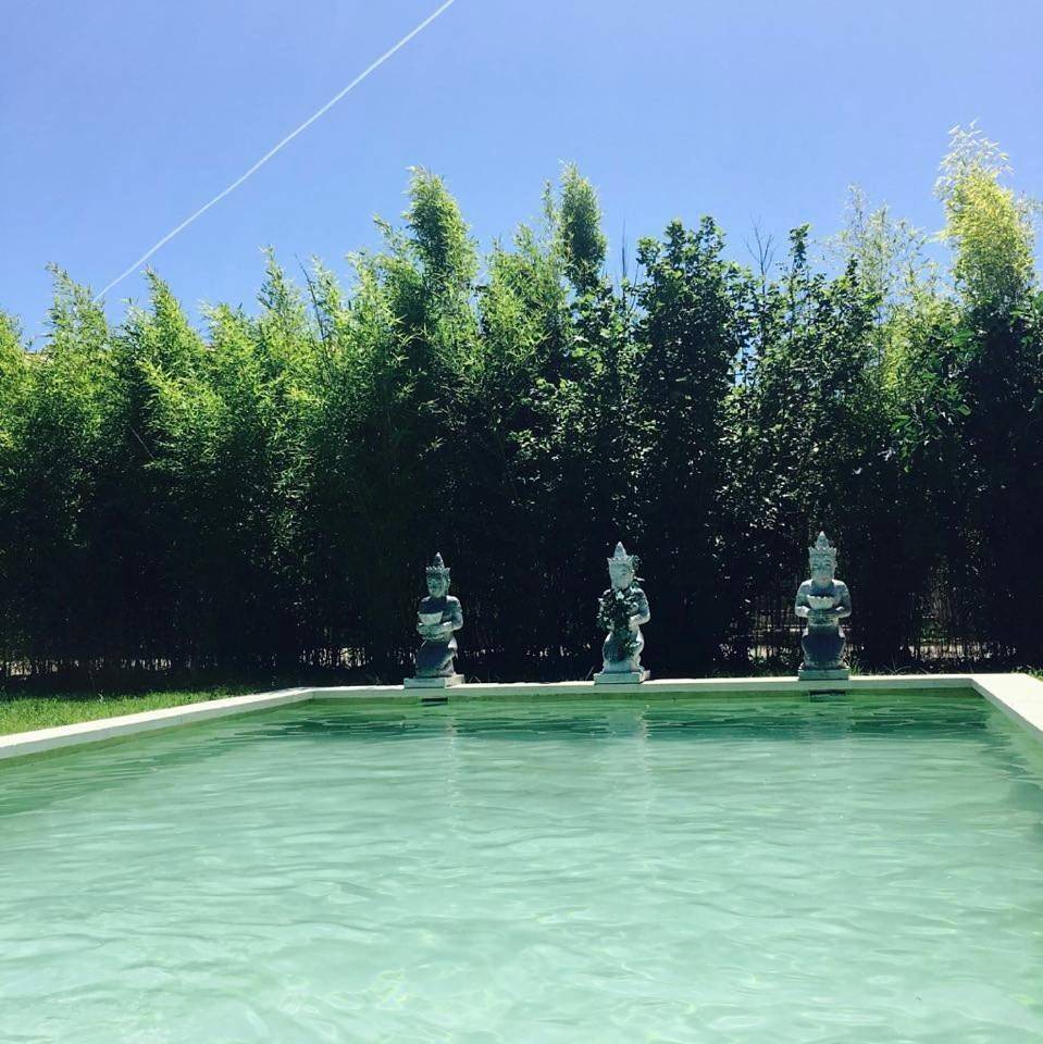 Appartement entier, L'Islo Bamboo in Saumane-de-Vaucluse, Vaucluse