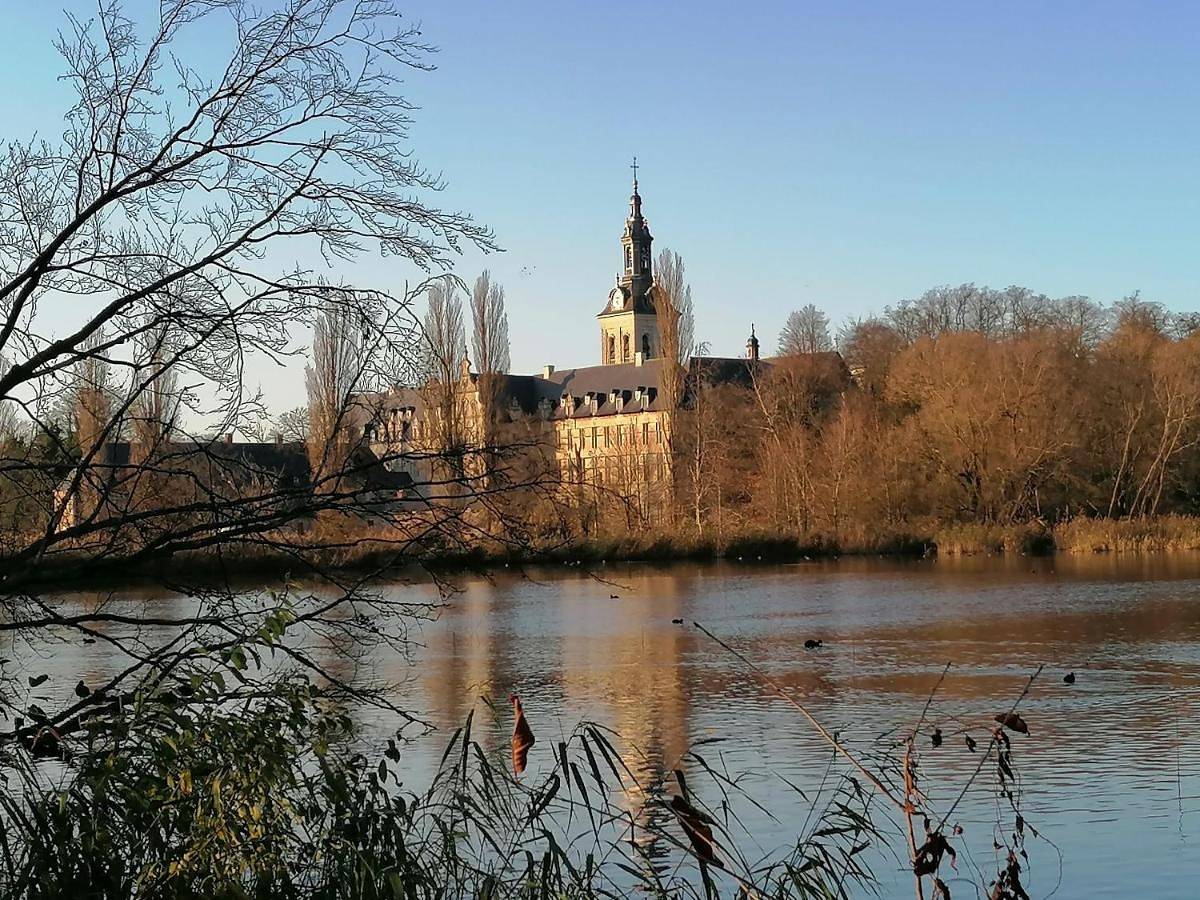 Studio's Park - Heverlee in Heverlee, Leuven