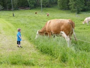 Bauernhof für 4 Personen in Bischofswiesen, Bayerische Alpen, Bild 4