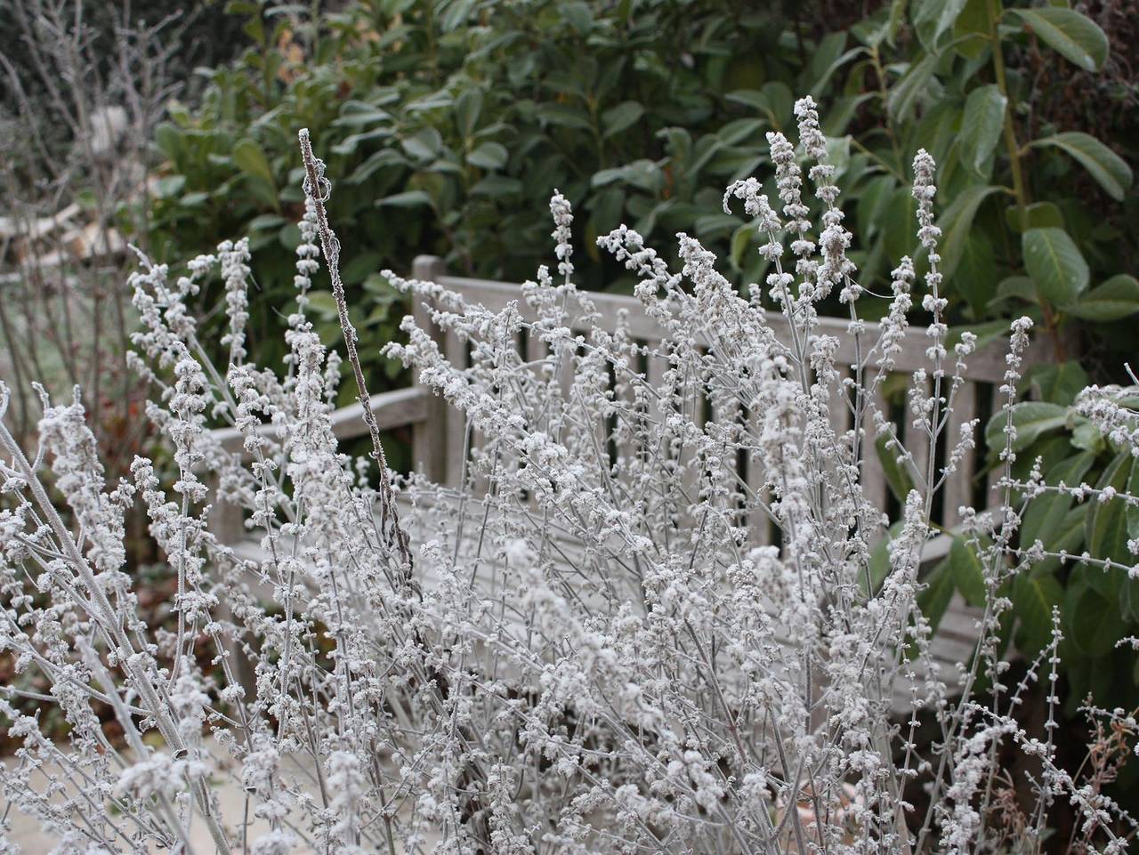 Gasthaus Winkelvoß - Ruhiges Doppelzimmer mit Dusche, Wc, 1 Schlafraum in Einbeck, Niedersachsen