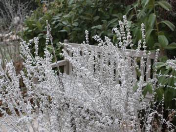Hotel für 6 Personen in Einbeck, Niedersachsen, Bild 1