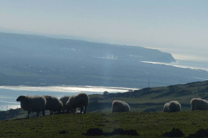 Holiday rental for 2 people, with hot tub, with pets in Tywyn
