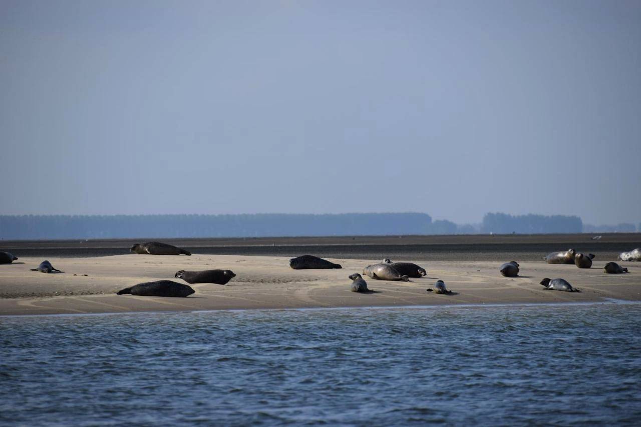 Chalet (6 Persons) in Niederländische Nordsee
