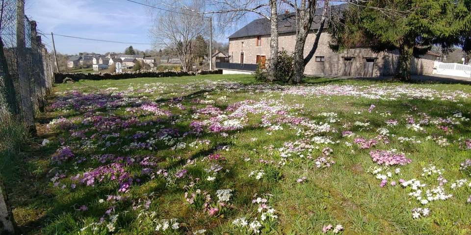 Location de vacances pour 14 personnes, avec Terrasse ainsi que Jardin et Vue à Arleuf - 4