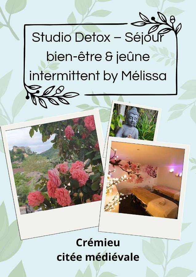 Gîte pour 6 personnes, avec jardin et piscine ainsi que sauna et jacuzzi à Crémieu - 4