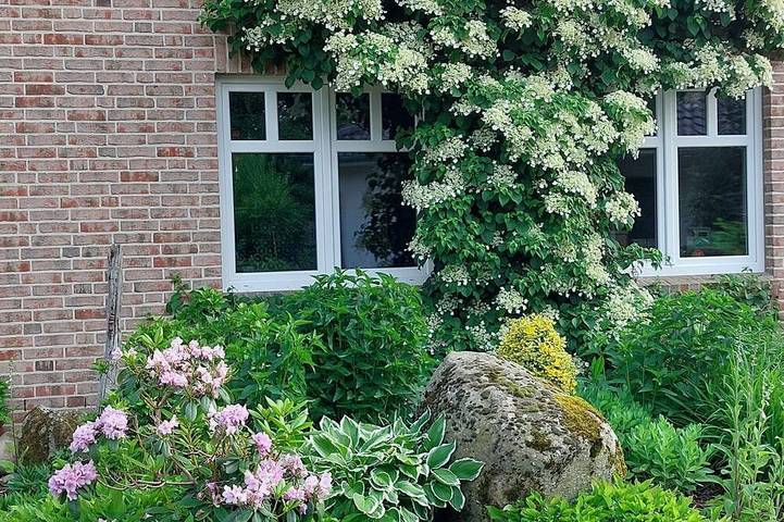 Ferienwohnung für 4 Personen, mit Terrasse - 1