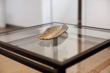 Ferienwohnung für 4 Personen in Bahlingen, Hochschwarzwald, Bild 4