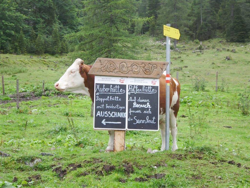 Einzelzimmer mit Dusche, Wc in Radstadt, Ski Amadé
