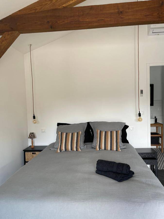 Chambre d’hôte pour 2 personnes, avec jardin et terrasse dans Parc naturel régional des Landes de Gascogne - 2