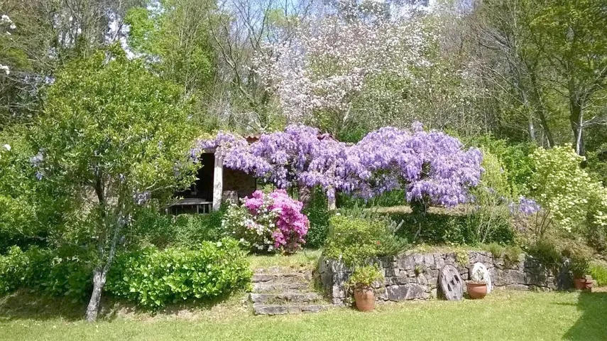 Casa de vacaciones para 4 personas, con vistas y jardín, Se admiten mascotas - 1