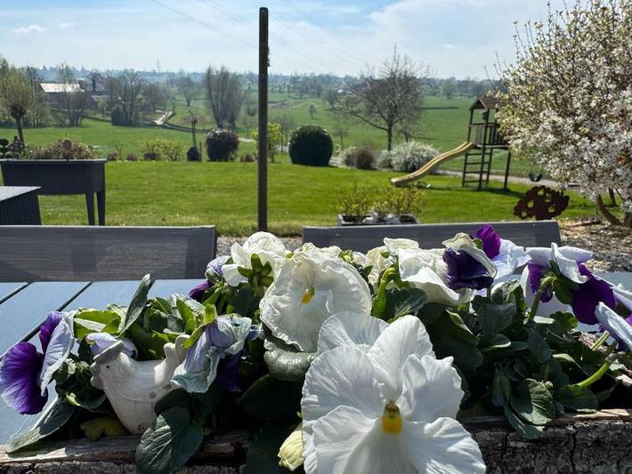 Location de vacances pour 4 personnes, avec vue et jardin à Herve - 3