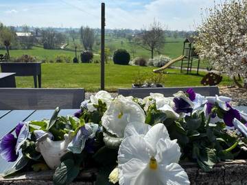Gîte pour 4 personnes, avec jardin et vue à Herve
