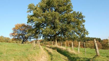 Ferienwohnung für 6 Personen in Wipperfürth, Oberbergischer Kreis, Bild 4