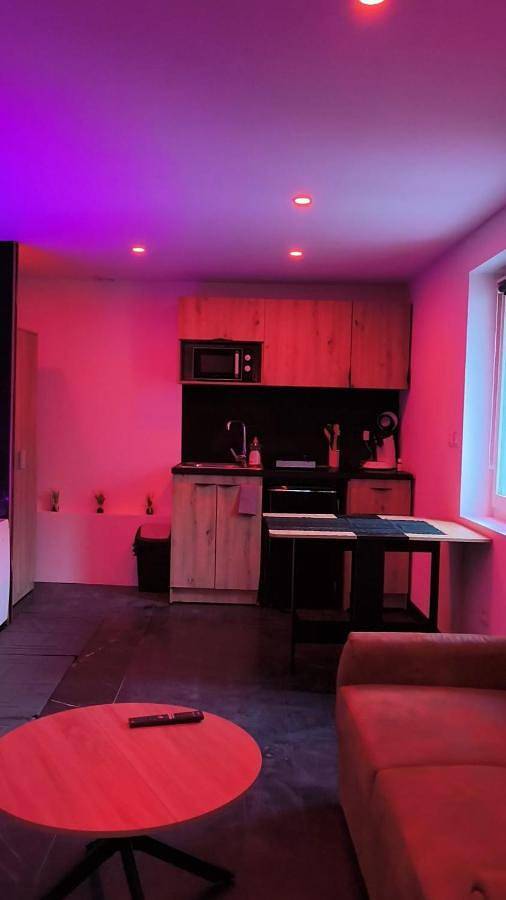 Gîte pour 2 personnes, avec terrasse et jacuzzi à Chasse-sur-Rhône - 3