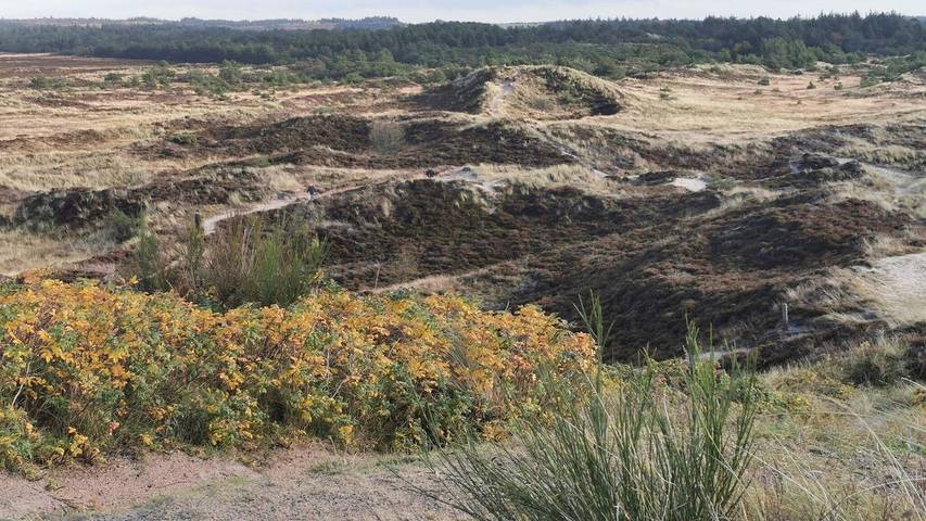 Ferienhaus für 7 Personen, mit Terrasse und Sauna in Henne Strand - 4