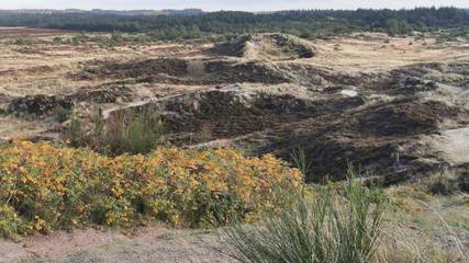 Bungalow für 7 Personen in Henne Strand, Dänemark an der Nordsee, Bild 3