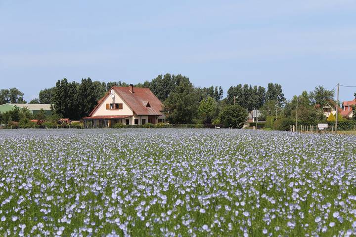 Chambre d’hôte pour 2 personnes, avec jardin en Seine-Maritime - 2