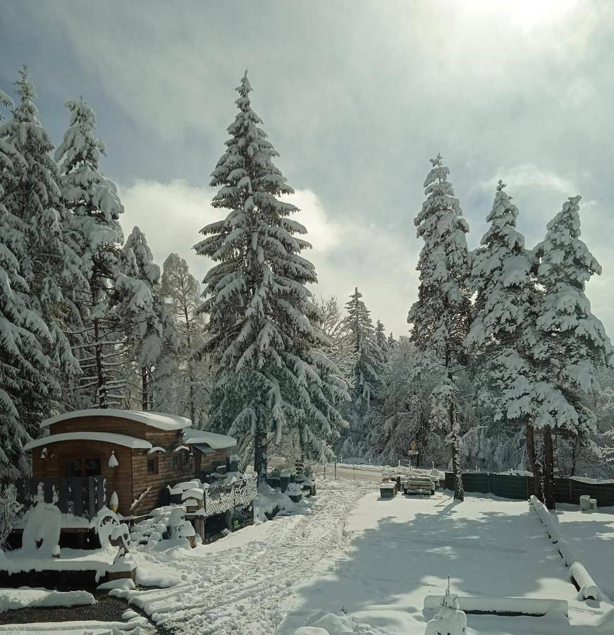 Domaine de la Mamounette in Champclause, Mézenc