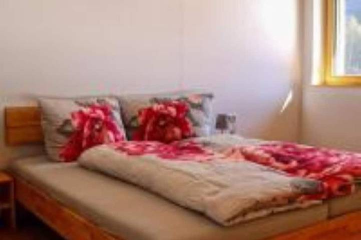 Ferienwohnung für 10 Personen, mit Garten und Balkon in Schnepfau - 4