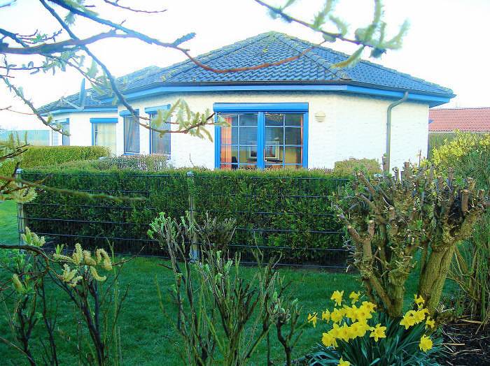 Bello in Dorum-Neufeld, Dorum