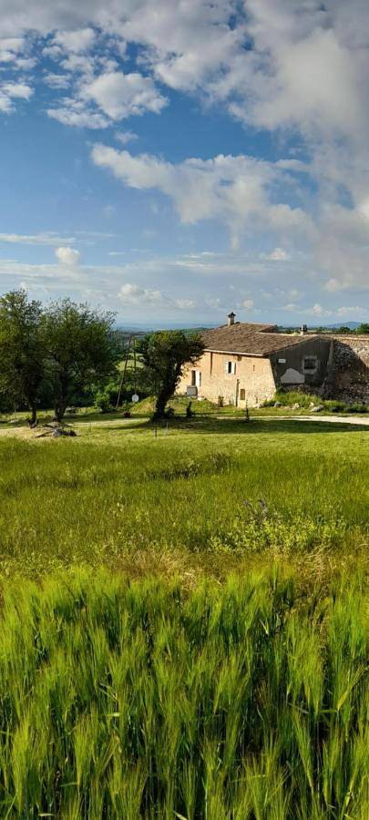 One-Bedroom House in La Roche-sur-Grane, Région de Die