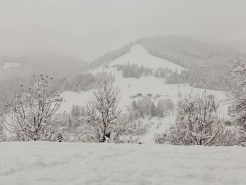 Chalet für 10 Personen in Mühlbach am Hochkönig, Ski Amadé, Bild 4
