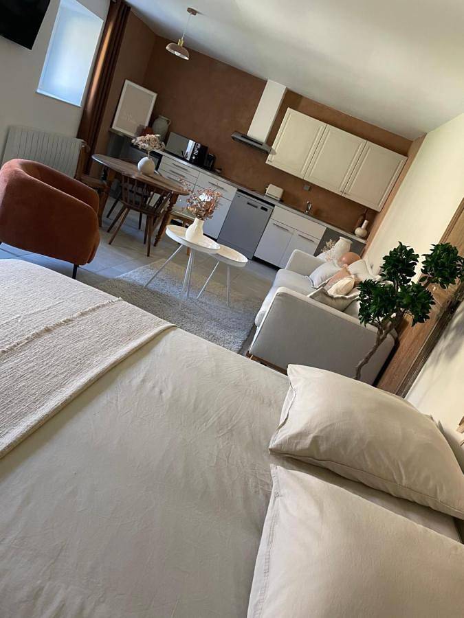 Appartement de vacances pour 4 personnes, avec terrasse et jardin, animaux acceptés dans les Ardennes - 4