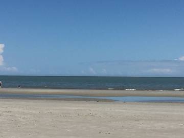 Villa for 8 Guests in South Carolina Lowcountry, South Carolina, Picture 4