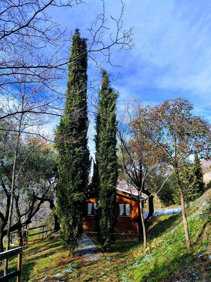 Camping para 2 personas, con jardín y vistas además de terraza y piscina, Se admiten mascotas en Provincia de Granada