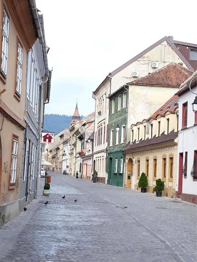 Gîte pour 5 personnes, avec terrasse dans Poiana Brasov - Brasov - 3