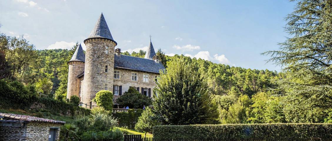 Château pour 18 personnes avec piscine in Chamborigaud, Parc national des Cévennes