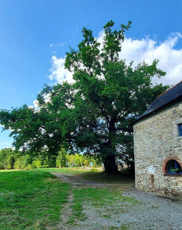 Three-Bedroom House in Crevin, Région de Redon