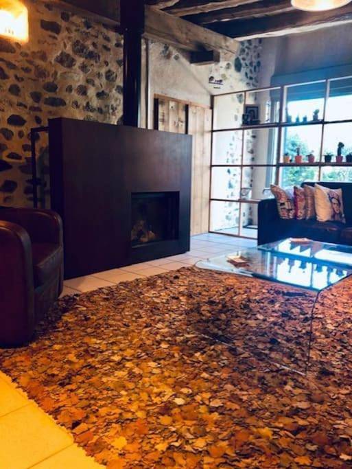 Gîte pour 5 personnes, avec piscine et jardin à Saint-Girod - 4