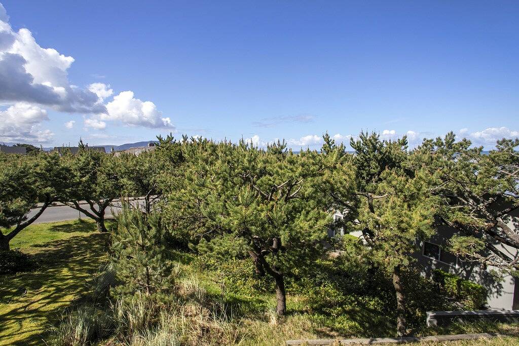 Ganze Wohnung, Gearhart House G604: 1 Br / 1 Ba Wohnung in Gearhart, Schlafmöglichkeiten für 4 in Gearhart, Clatsop County