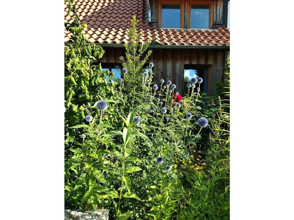Ferienhaus in Hitzacker mit Wifi in Hitzacker, Elbtalaue