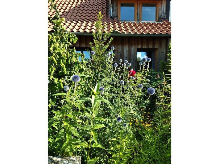 Ferienhaus für 7 Personen, mit Terrasse und Garten in Hitzacker